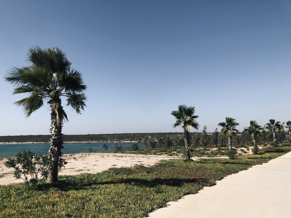 Gartenanlage Aquasis De Luxe Resort & Spa