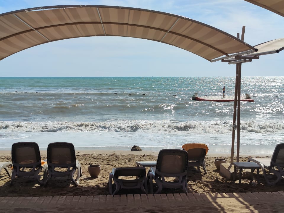 Strand Papillon Ayscha