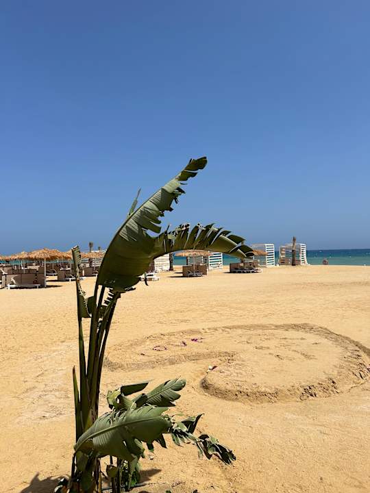 Strand SUNRISE Anjum Resort Marsa Alam