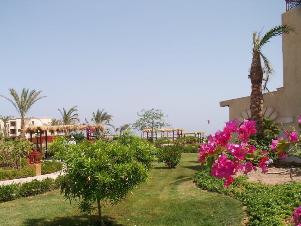 Ogród Regency Plaza Aqua Park & Spa