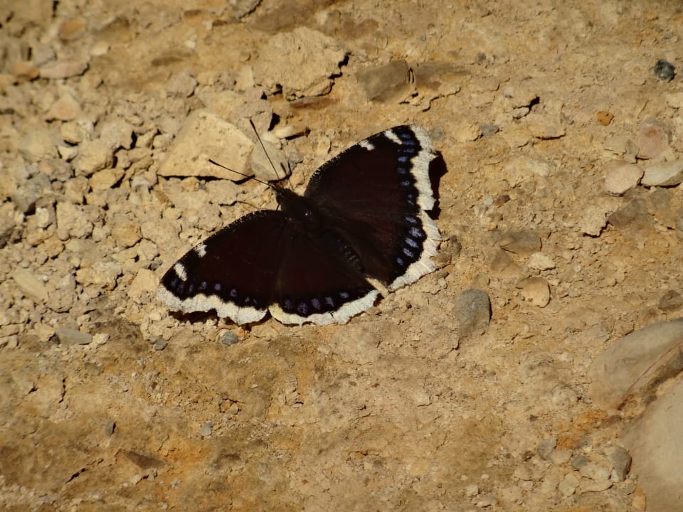Sonstiges Parkhotel Oberstaufen