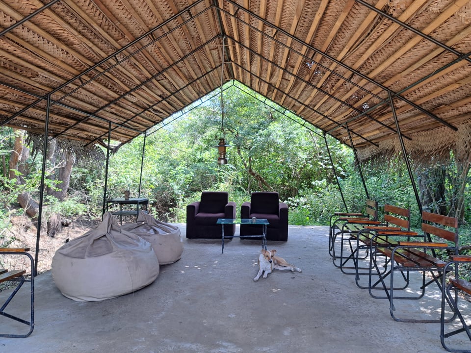 Lobby Mahoora Tented Safari Camp - Yala