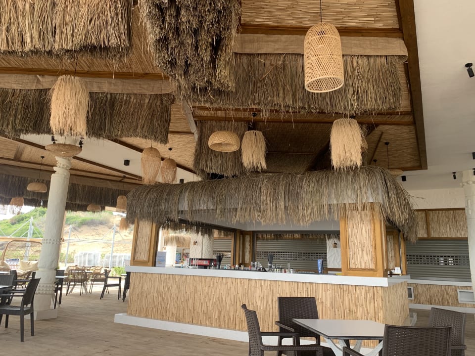 Gastro Seashell Vega