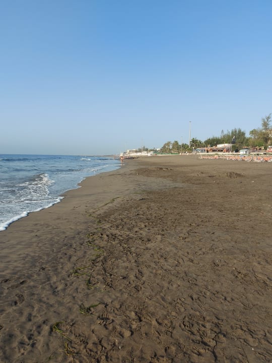 Strand Corallium Beach by Lopesan Hotels - Adults only