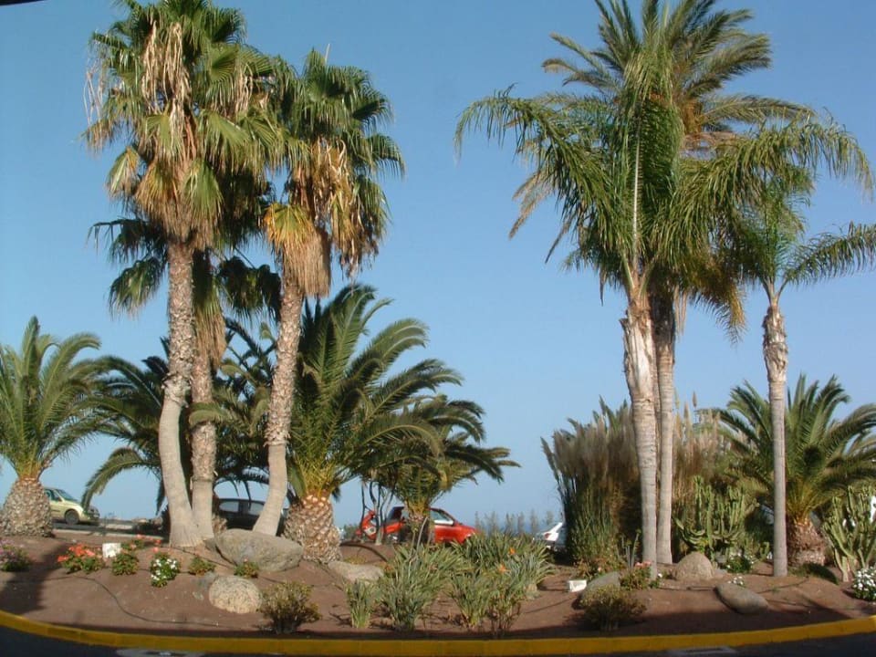 Kreisverkehr allsun App.-Hotel Esquinzo Beach