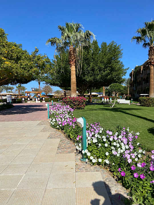 Gartenanlage Desert Rose