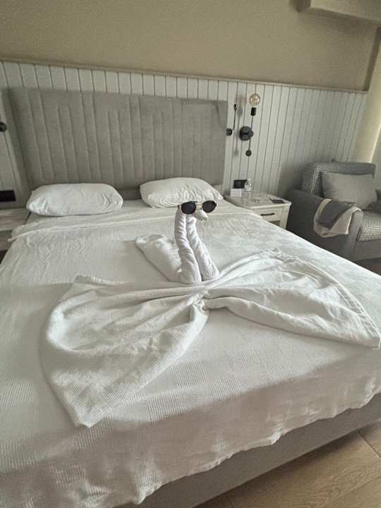 Zimmer Seven Seas Palmeras Bay Alanya