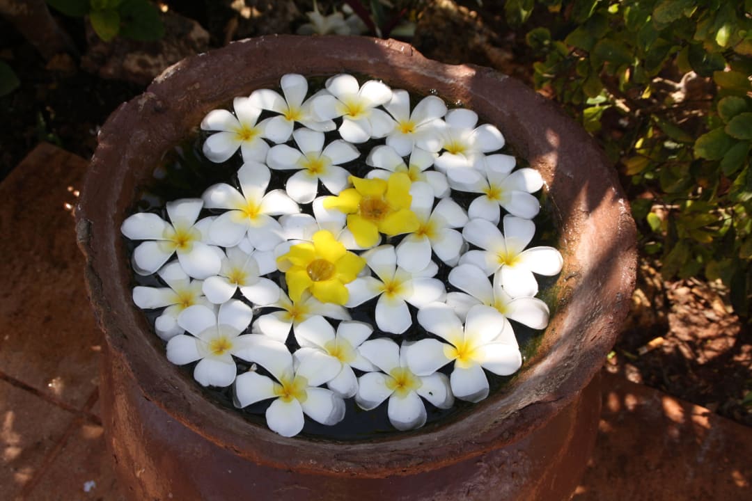 Immer frisch TUI Blue Bahari Zanzibar
