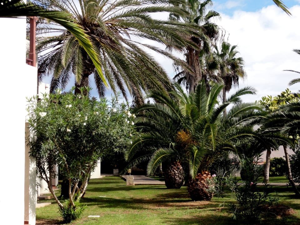 Eindrücke von der Hotelgartenanlage Alua Suites Fuerteventura