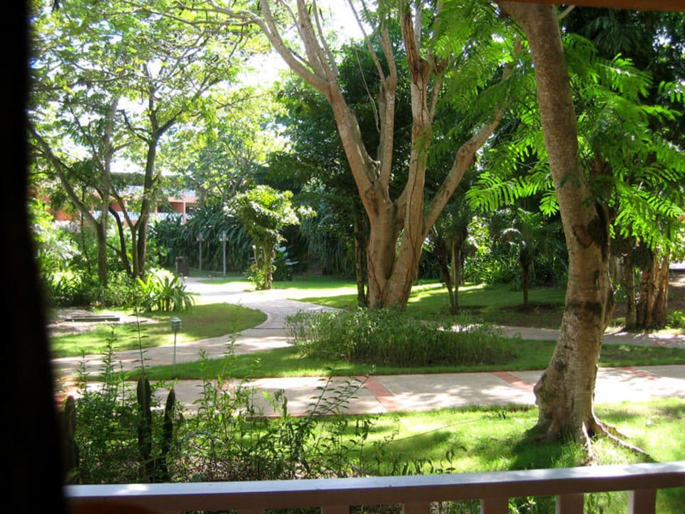 Blick aus dem Zimmer BelleVue Dominican Bay