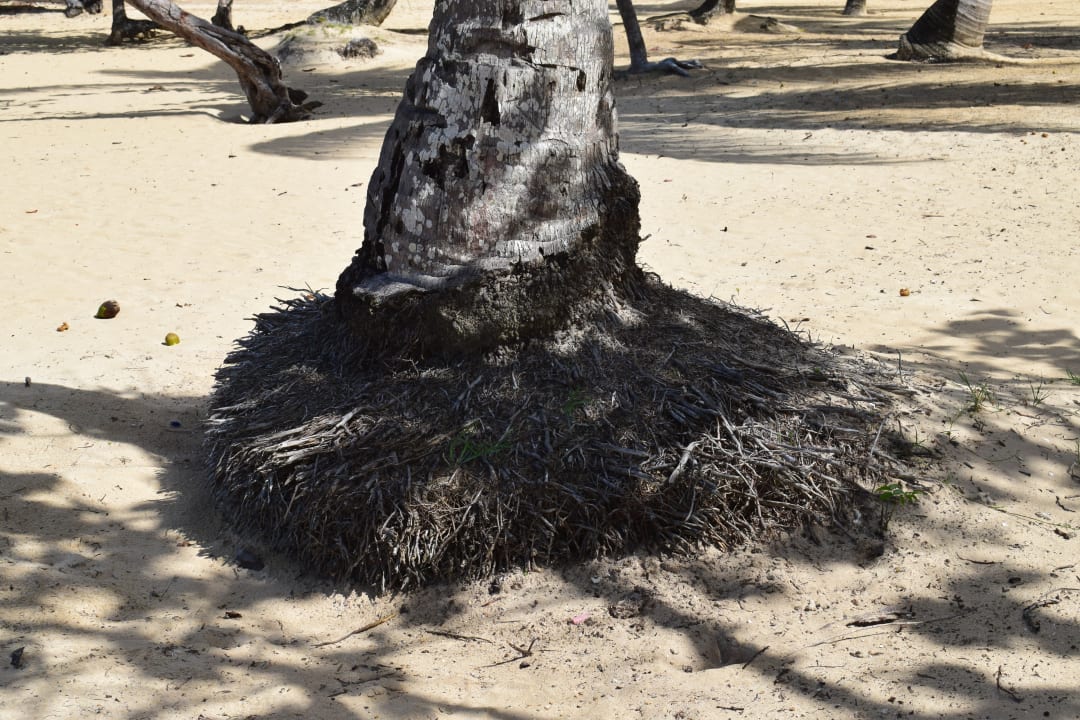 Strand Bahia Principe Grand El Portillo
