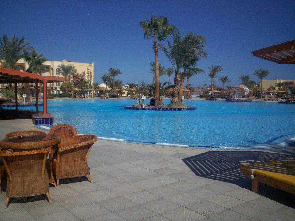 Erster Pool Desert Rose