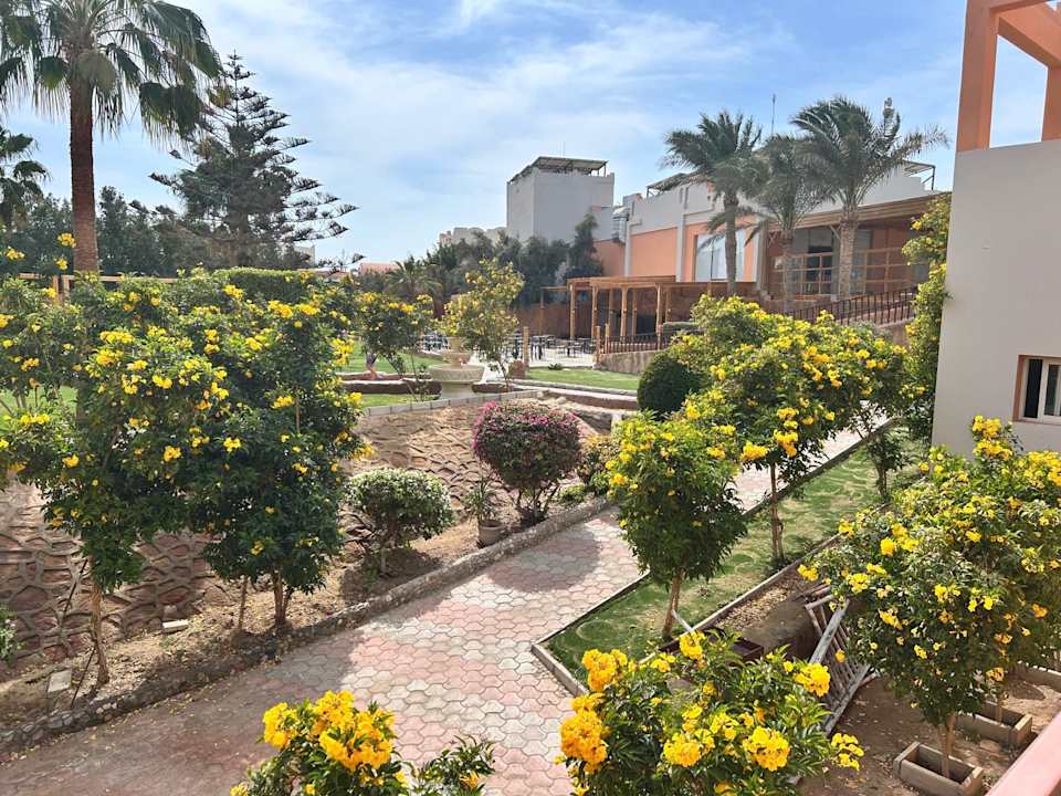 Sonstiges Three Corners Sea Beach Resort