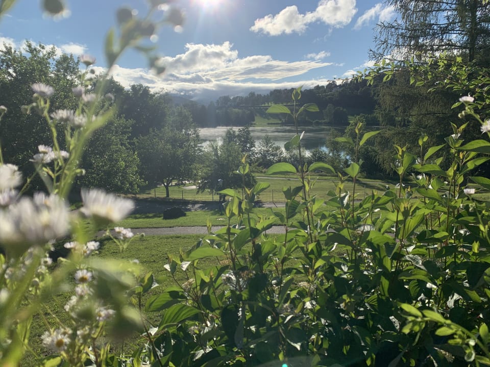 Gartenanlage Feriendorf am Maltschacher See