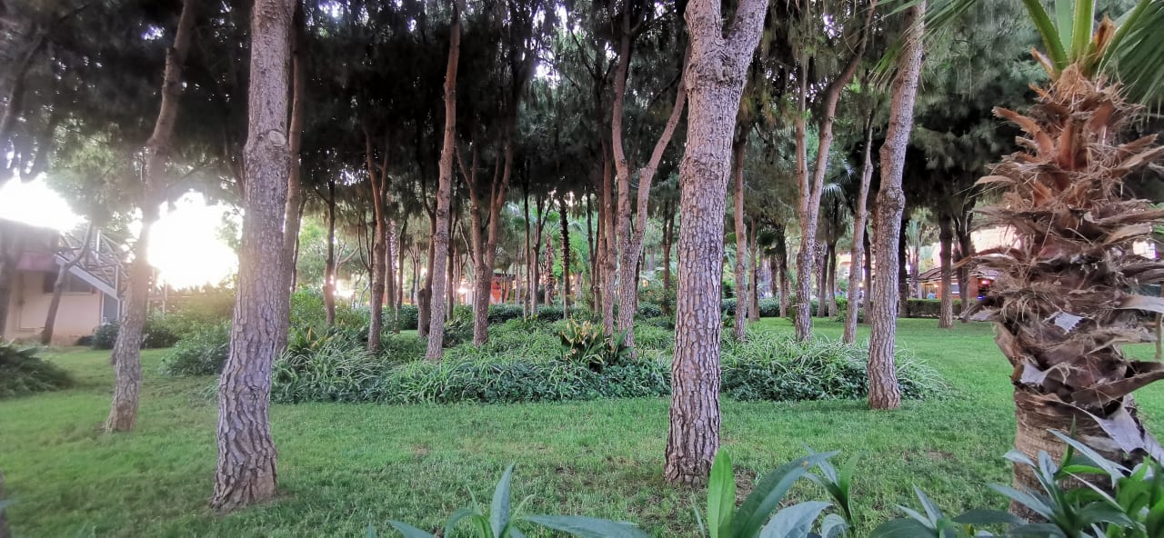 Gartenanlage Club Turtas Beach Hotel