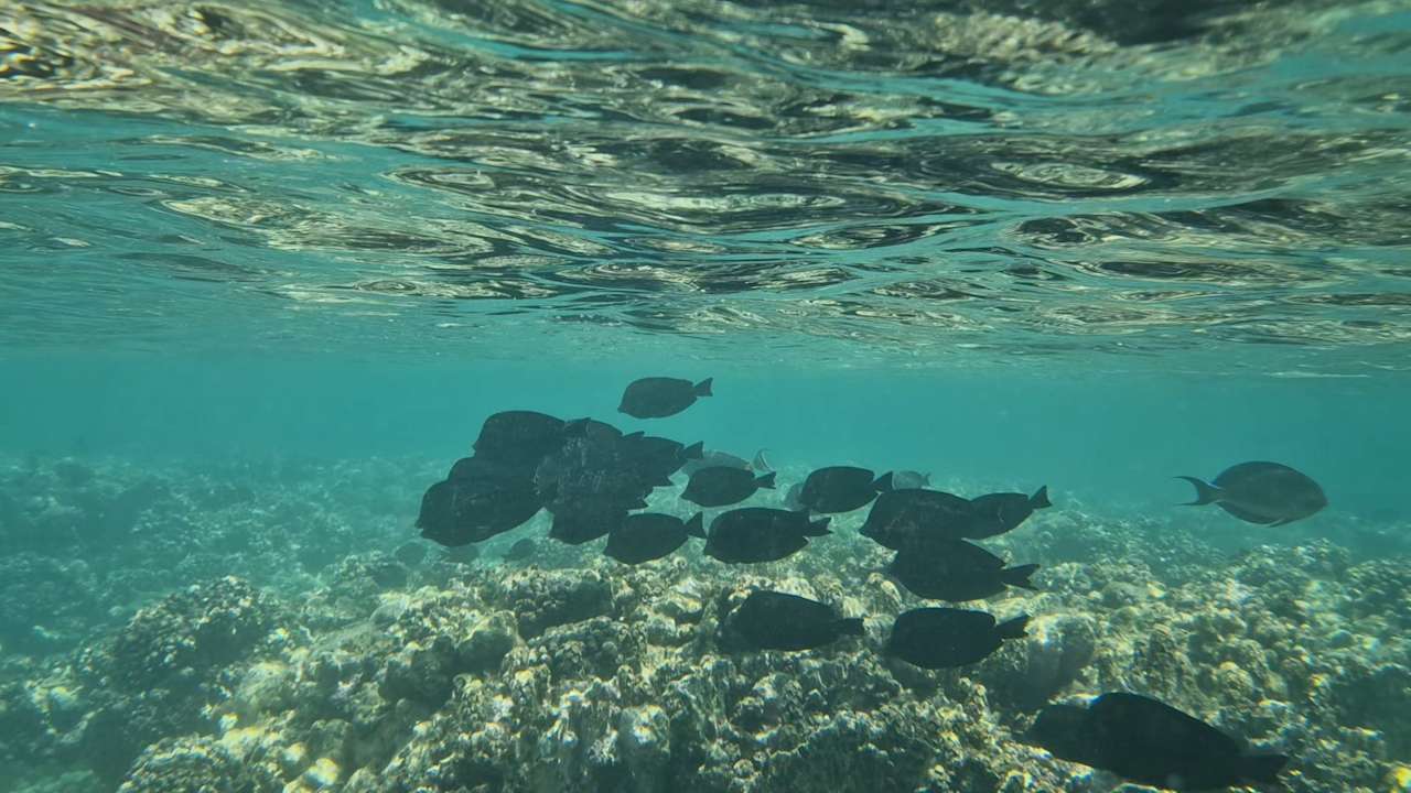 Strand Pickalbatros Villaggio Resort - Portofino