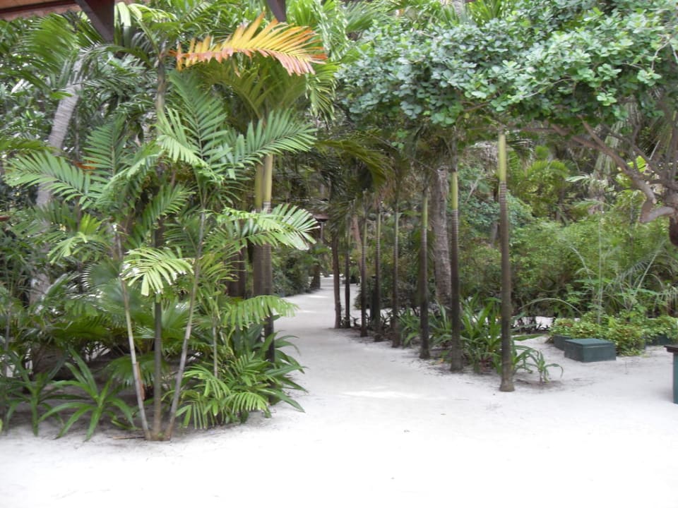 Inselinneres Summer Island Maldives