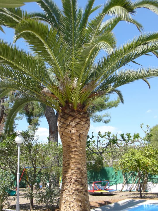 In der Hotelanlage The Grove Seaside Hotel