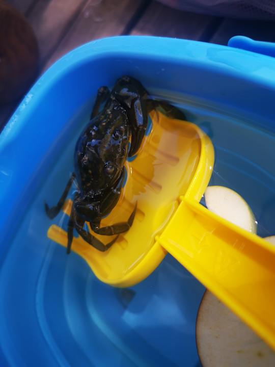 Strand La Blanche Island Bodrum