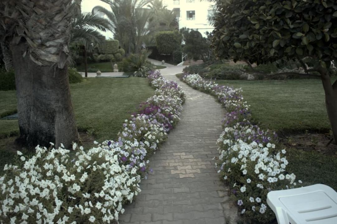 Weg zwischen Pool und Hotel Hotel Djerba Resort