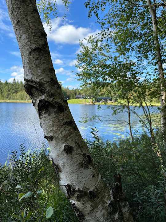 Ausblick Gråbogården event and conference center