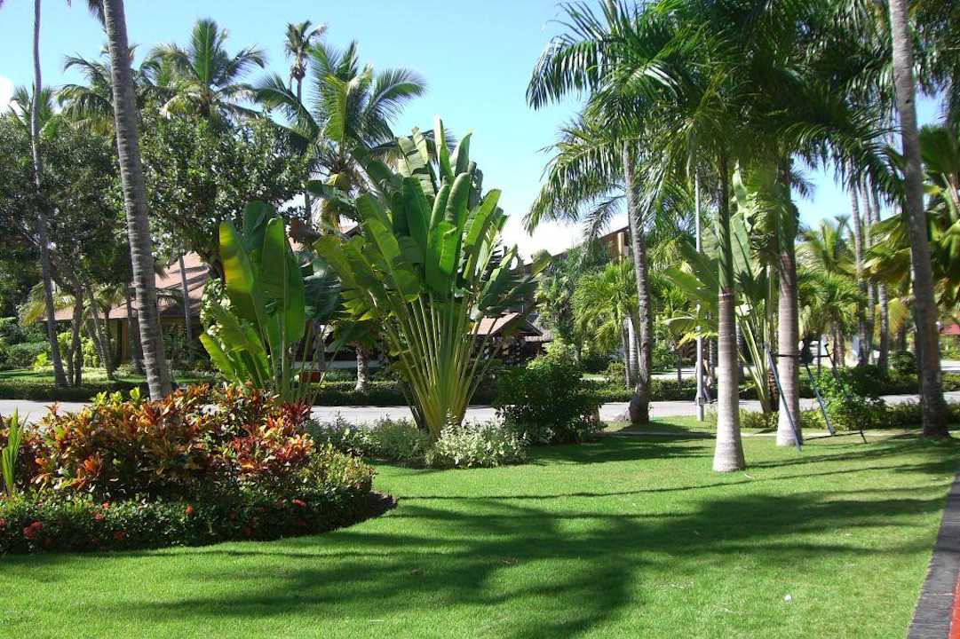 Gartenanlage Hotel Grand Palladium Palace Resort, Spa & Casino