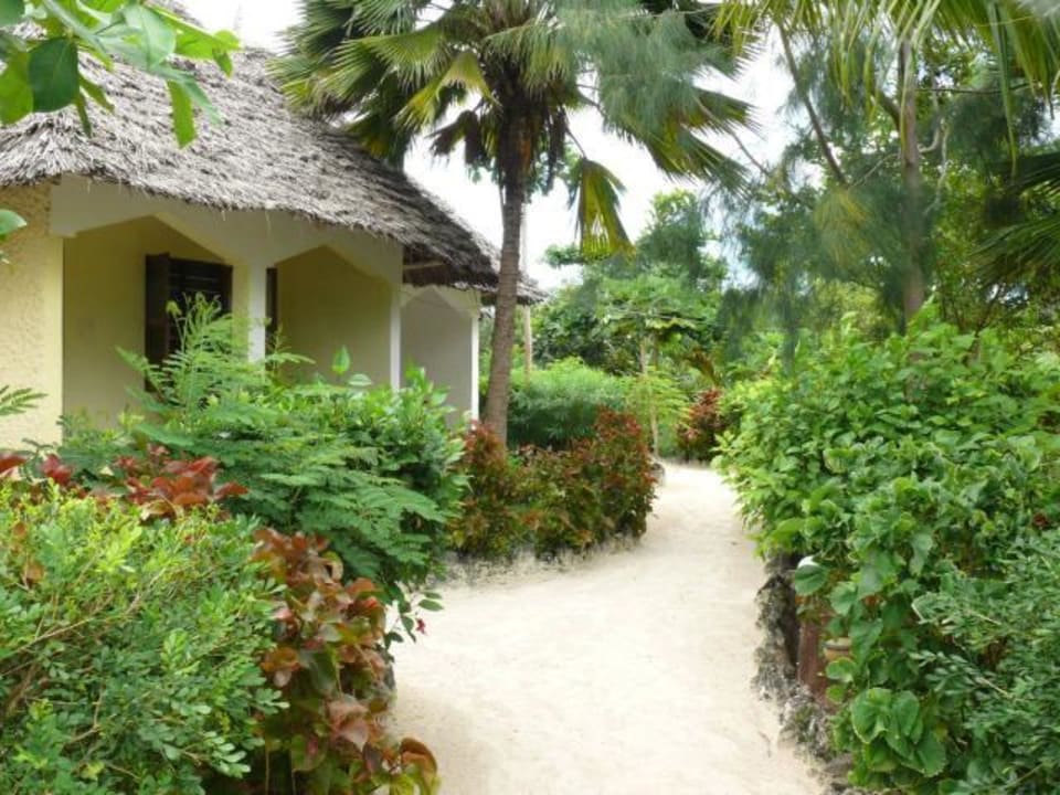 Standard room Pakachi Beach Resort