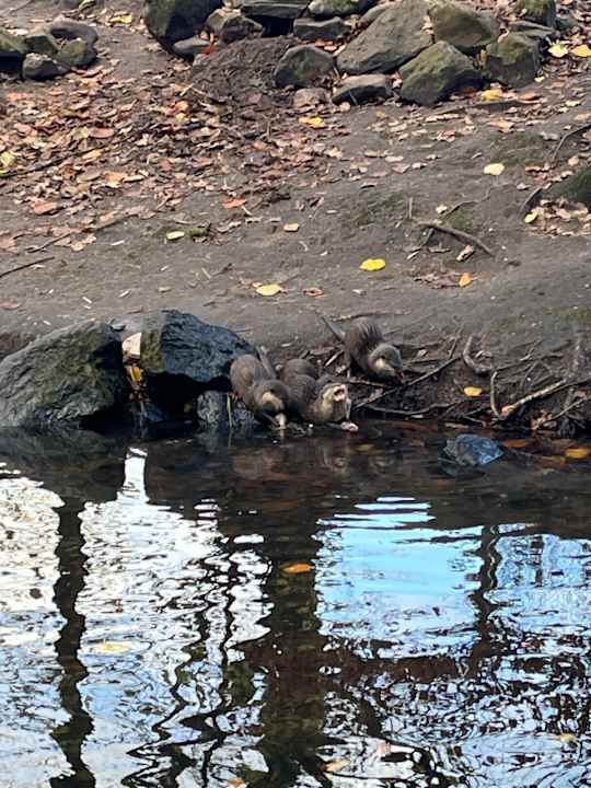 Sport & Freizeit Center Parcs De Kempervennen