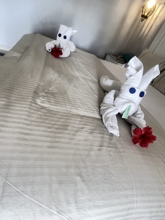 Zimmer The Grand Palace - Adults only