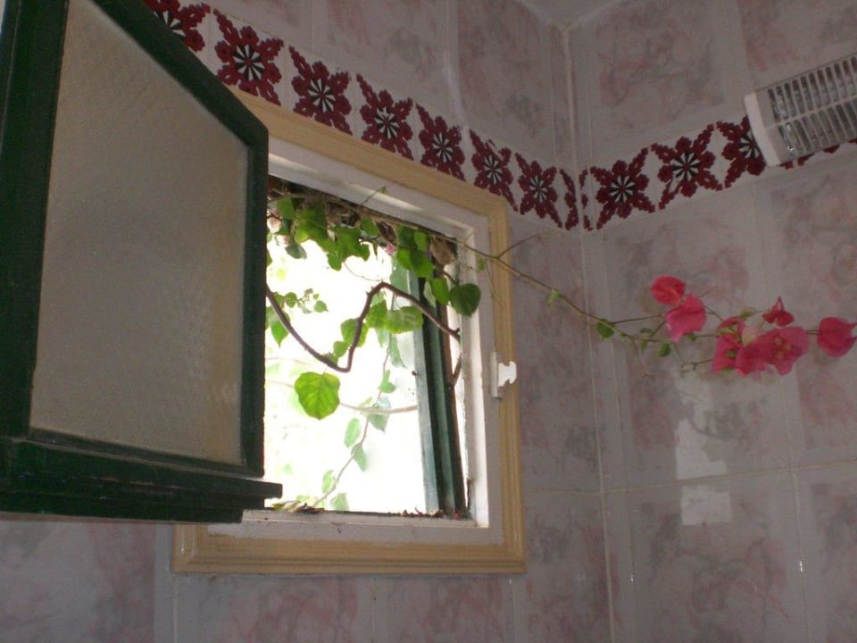 Bewuchs über Toilette Hotel Sangho Club Zarzis