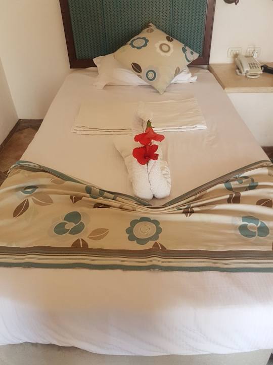 Zimmer Pickalbatros Citadel Resort