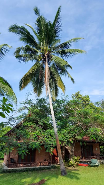 Unsere Villa Hotel Tanjung Inn Villa de Fedelia