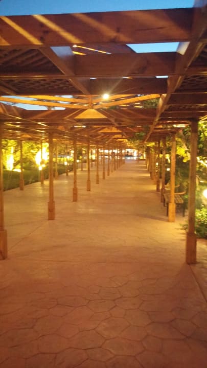 Sonstiges Desert Rose