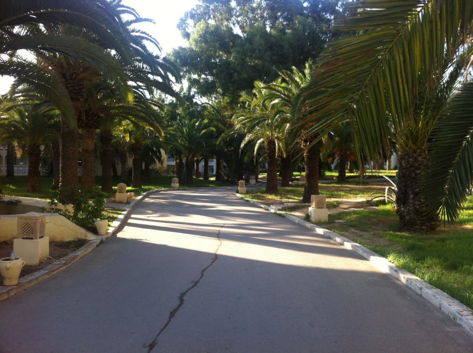 Gartenanlage Hotel Marhaba Club