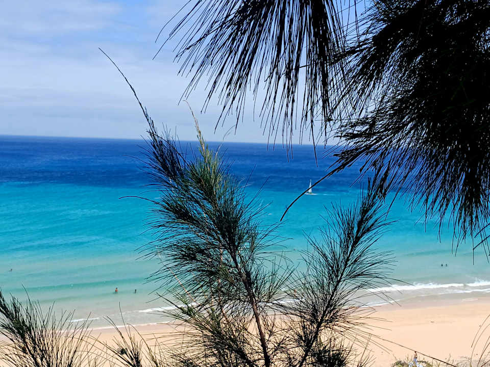 Strand Marina Playa Suite Hotel