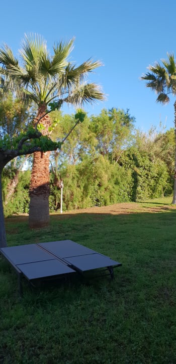 Zimmer Phãea Cretan Malia