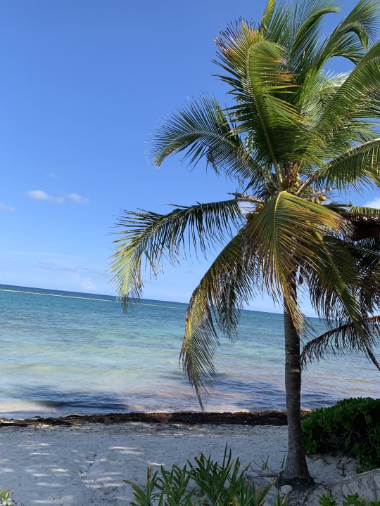 Strand Akumal Bay Beach & Wellness Resort