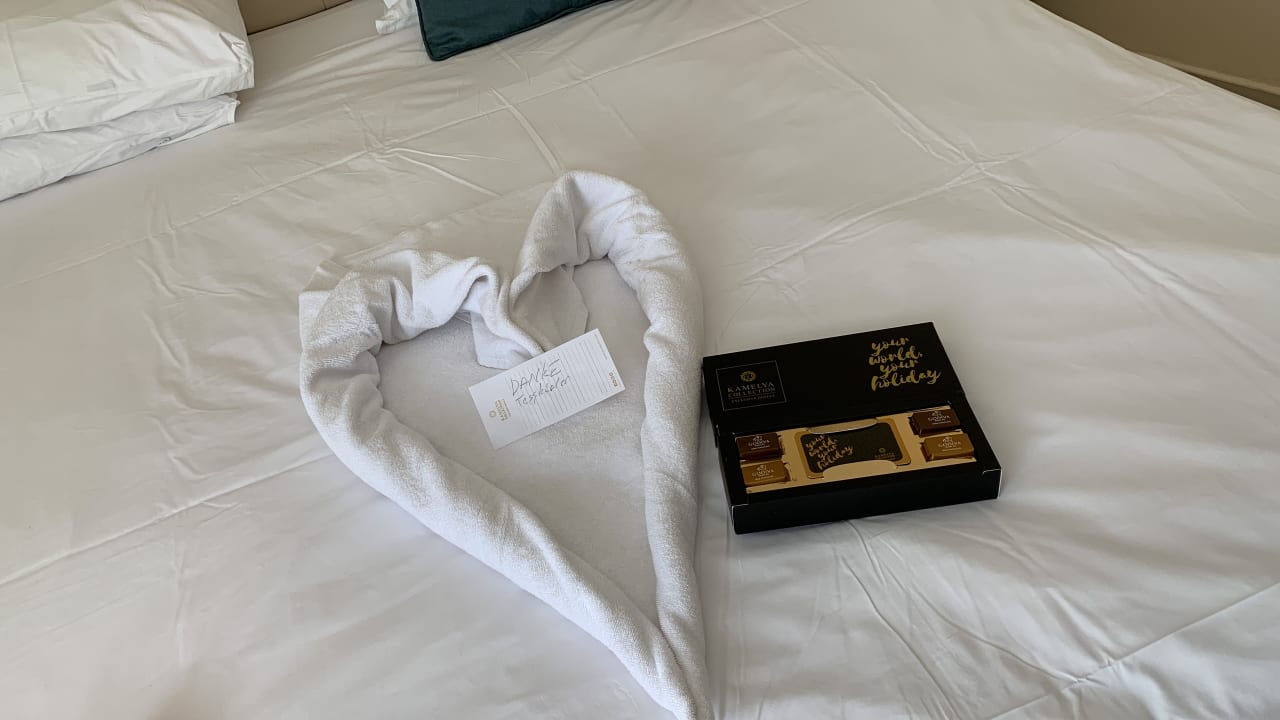 Zimmer Kamelya Aishen Club