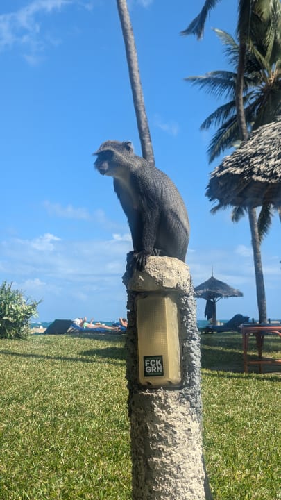 Außenansicht Neptune Paradise Beach Resort & Spa