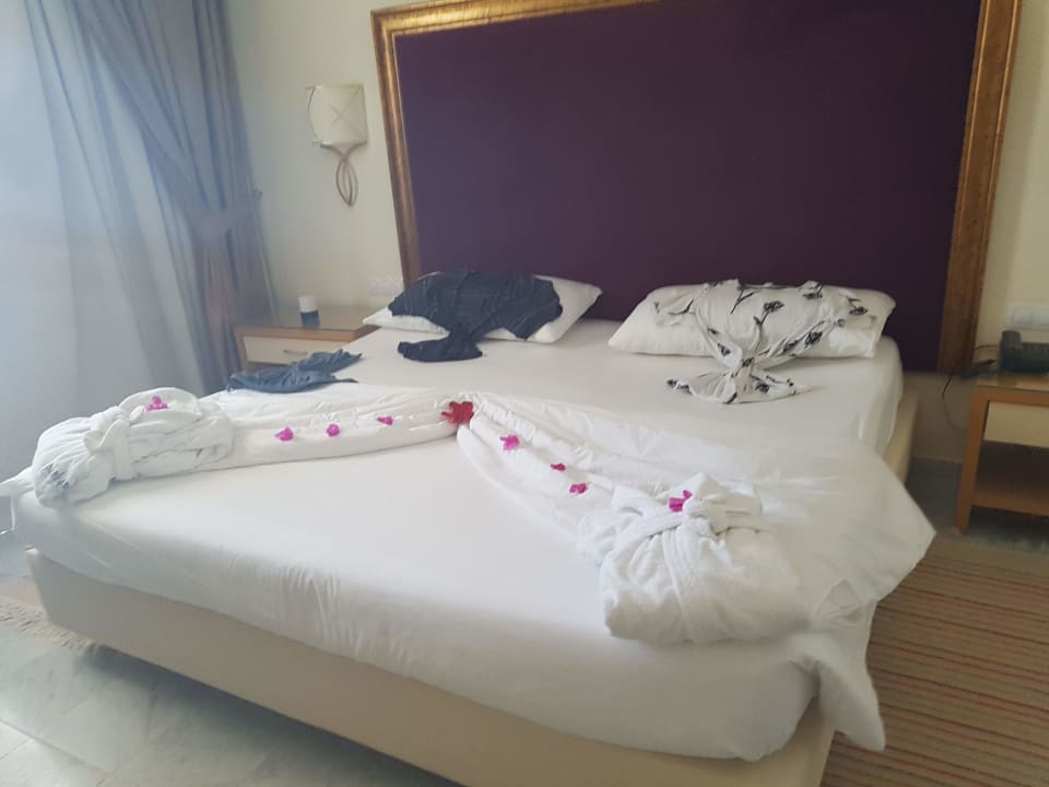 Zimmer Hotel Marhaba Palace