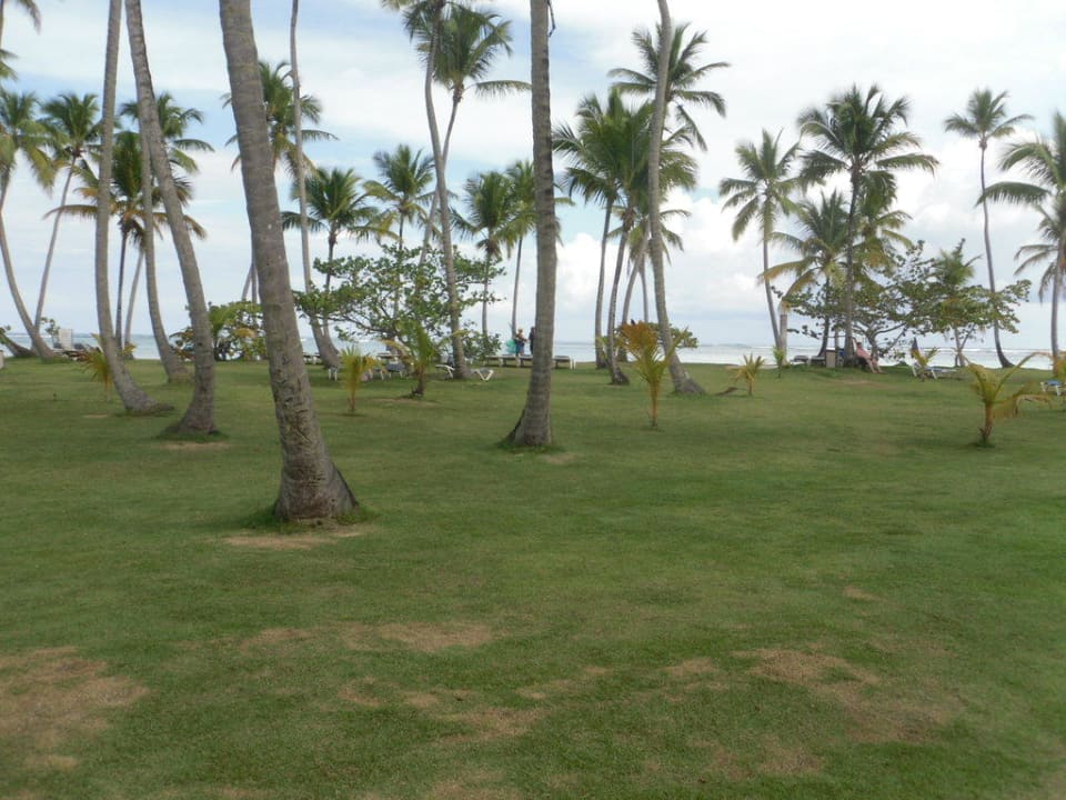 Hotelstrand  Wyndham Alltra Samana