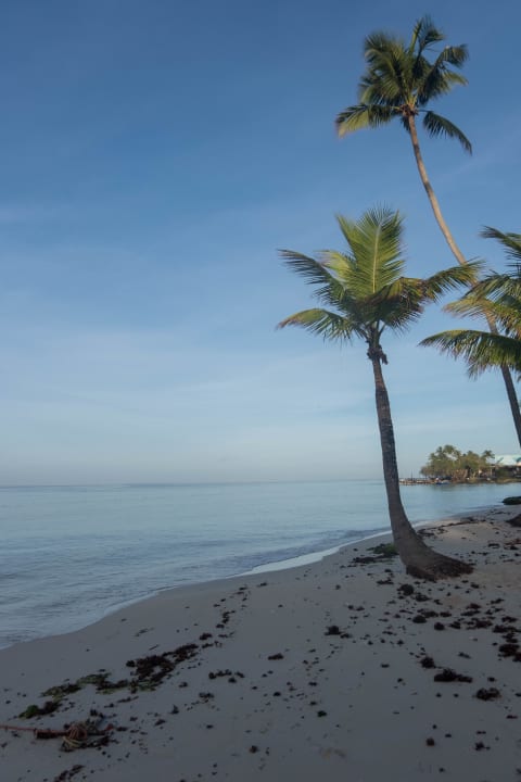 Strand Dreams La Romana Resort & Spa