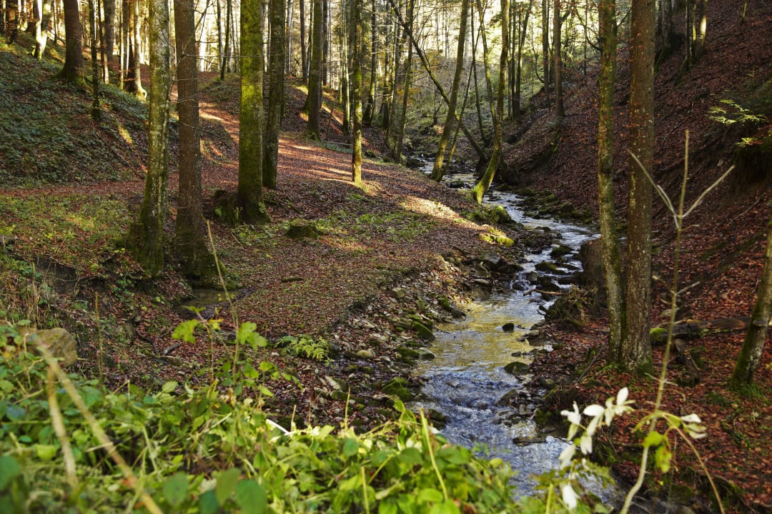 Gartenanlage Haubers Naturresort