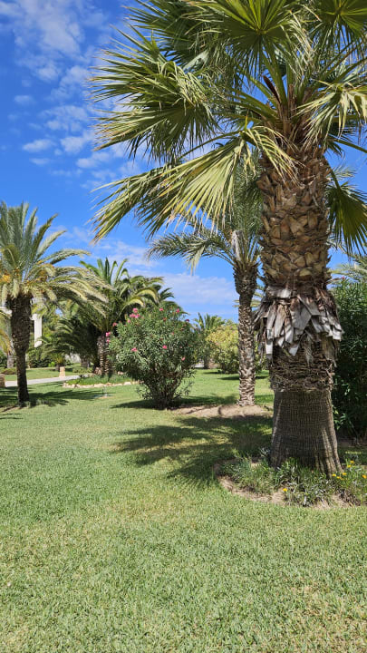 Sonstiges TUI MAGIC LIFE Penelope Beach