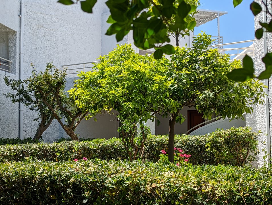 Gartenanlage Apollonia Beach Resort & Spa
