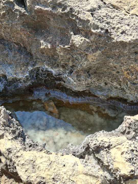 Strand Club Resort Atlantis