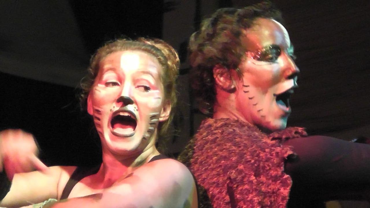 Cats R2 Lago Playa Park