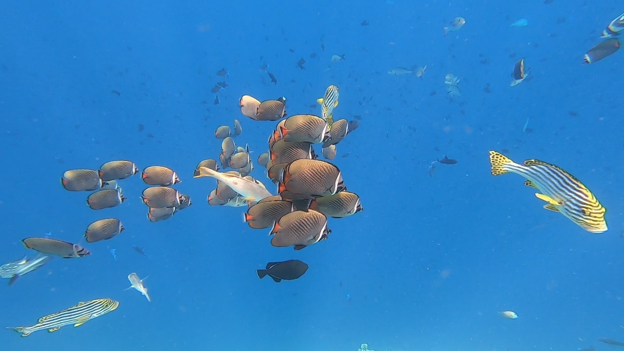 Sport & Freizeit NH Collection Maldives Reethi Resort