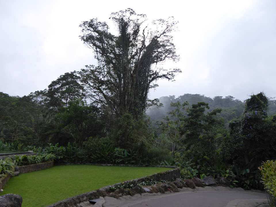 Ausblick Hotel Peace Lodge