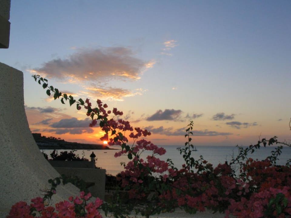 Sonnenaufgang SBH Hotel Taro Beach